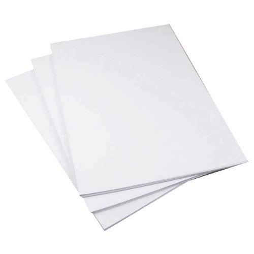 s Top Choice C2S Matte Art Card Paper Roll Coated on Both Sides for Superior Finish