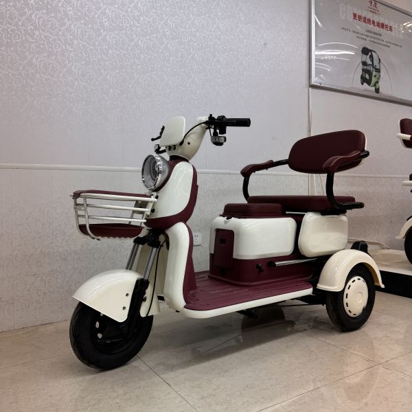 Triciclo Eléctrico de Ocio de Tres Ruedas para 2 Plazas, Fácil de Montar, con Cesta de la Compra