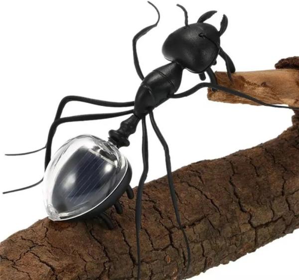 Black Solar Powered Ant Small Solar Toys Early Learning Educational Toy