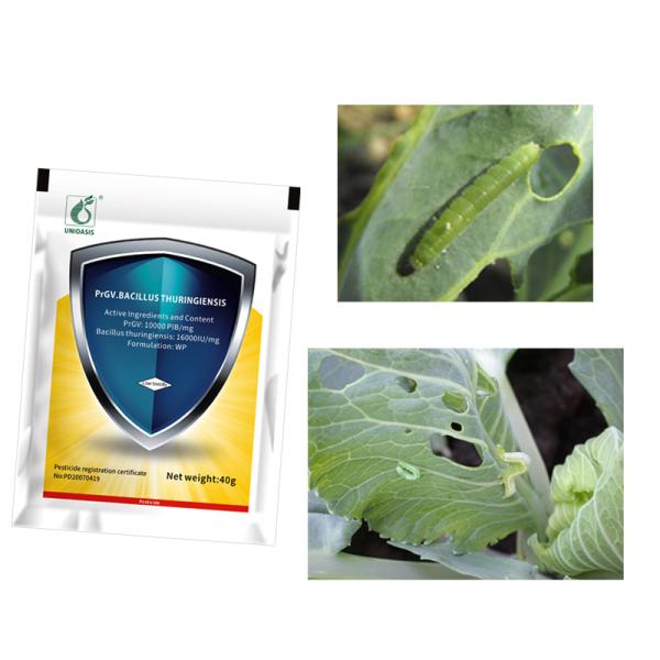 Sweet Corn Borer Killing Biological Insecticides On Fruit PrGV