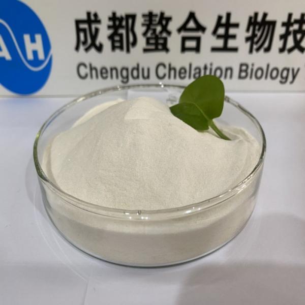 Aminoácidos orgánicos Cálcio quelado con 10% de ácido fumárico El suplemento perfecto para la salud ósea