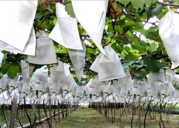 Durable Non Woven Garden Weed Control Fabric for Plant Protection / Agriculture Covering
