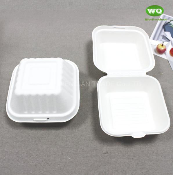 6 Inch (547ml) Biodegredable Sugarcane Clashmell -High Quality100% Biodegradable Compostable Food Box Wholesale Online