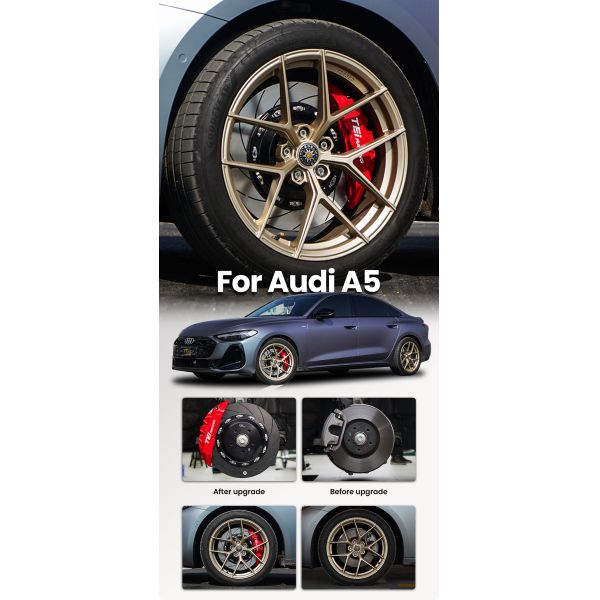 TEI P60EV 355/380mm Disc 6 Piston Brake Caliper BBK Big Brake Kit for Audi A5 B8 8W6 8W7 8T3 8F7