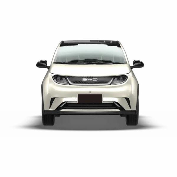 BYD 2024 EV Dolphin 420KM Vitality Edition para 5 lugares e 5 portas Compacto nível sedã