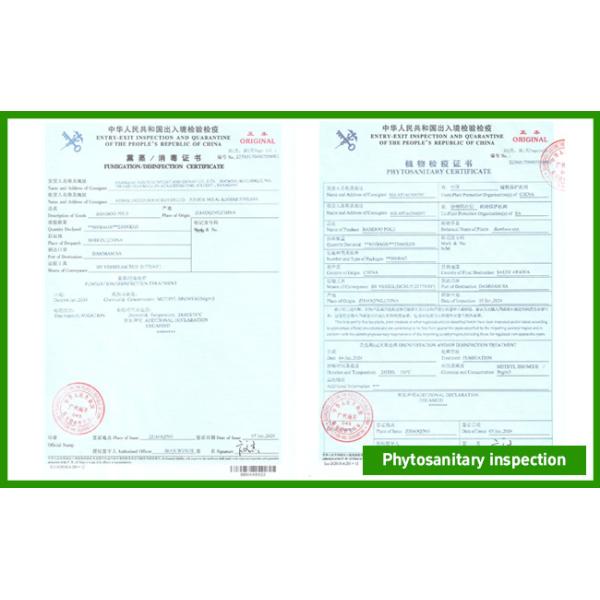 Shanghai Forever Import & Export Co., Ltd.