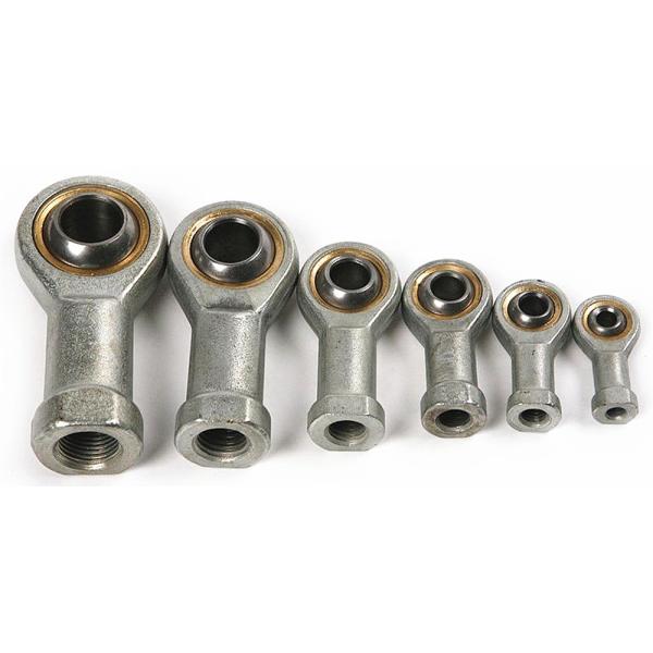 Правый женский нержавеющая сталь с концами подшипника бронзовая гонка низкоуглеродистая стальная корпус