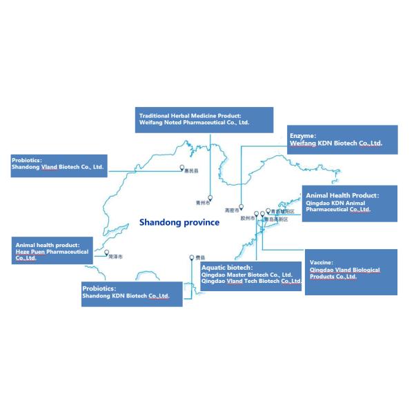 KDN Biotech (Shanghai) Co., Ltd.