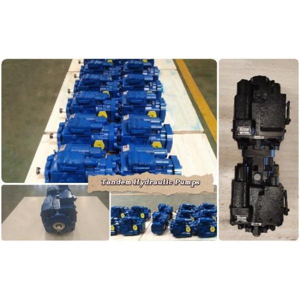 Hydraulic tandem pump customization Highly Durable Combine Harvester Hydraulic Tandem Pump