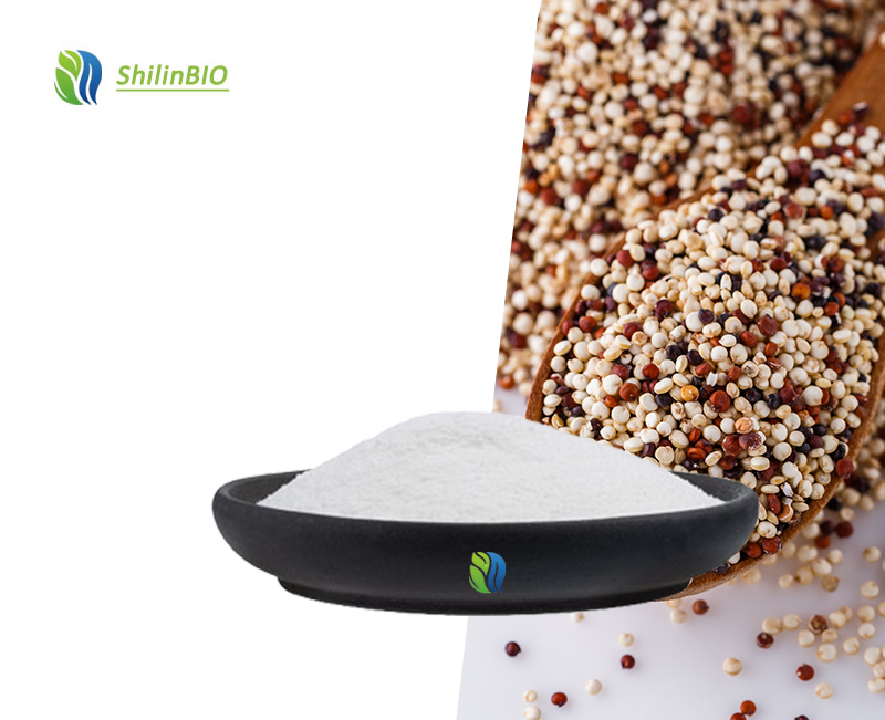SLBIO Factory Wholesale Quinoa Protein Powder 30% 83% Quinoa Powder Quinoa Flour