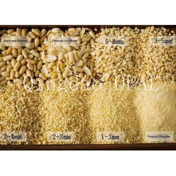 Premium Blanched Peanut Kernel, HALAL & EU Compliant, Raw Skinless Peanuts for Import