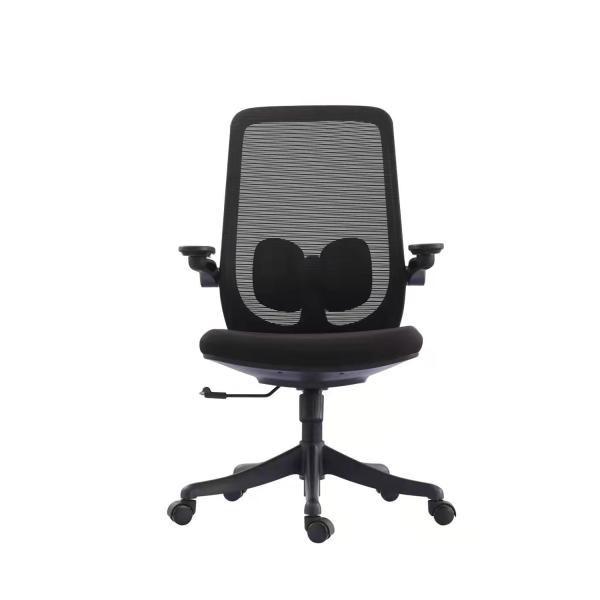 Mid Back Ergonomic Mesh Task Chair 2D Ergonomic Luxury Office Chair