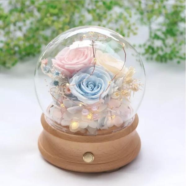 Wholesale Rose Preserved Flower in Glass Dome Flower for Valentines Day rose gift