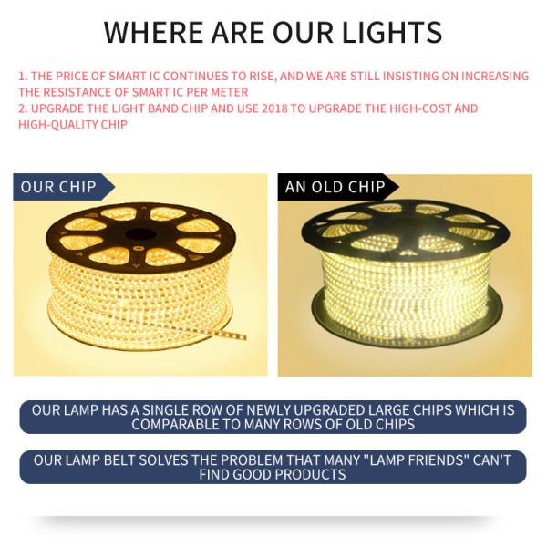 220V Living Room LED Strip Lamp Decorative Ceiling 3 Color Dimming 120 beads