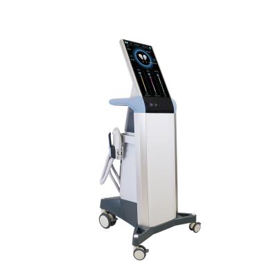 300us Goldenlaser esculpem o corpo magro do Em Ems o Em da máquina que da beleza do emagrecimento esculpe máquinas