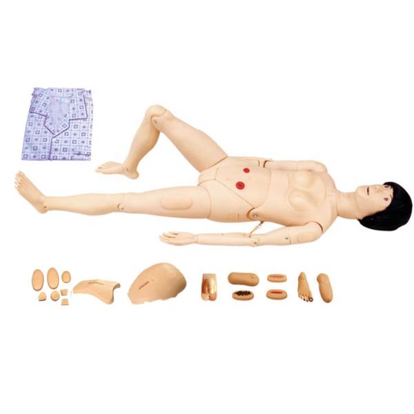 Comprehensive Nursing Care Training with Realistic Human Mannequin Simulator Model