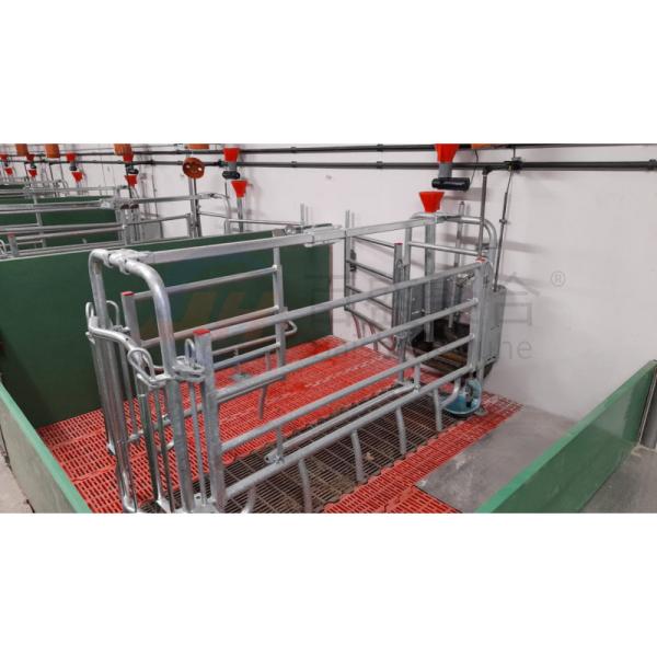 Сталелитейная ферма покупает оборудование для птицеводческой фермы в Индии