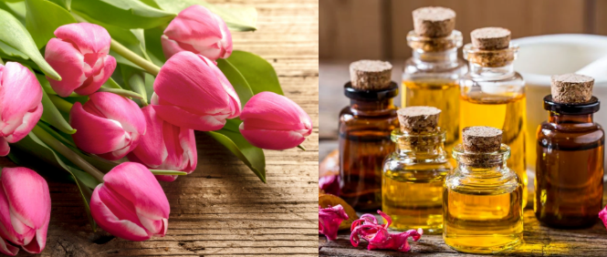 Tulip Fragrance Candle Fragrance Oil with Grand Floral Architecture Multi-Layered Floral Bouquet For Hot Process Scented Candles Productions