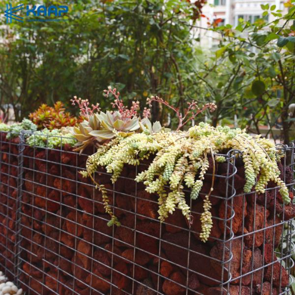 Окунутое горячее гальванизировало сооружение стены Gabion со сваренной усиливая сеткой
