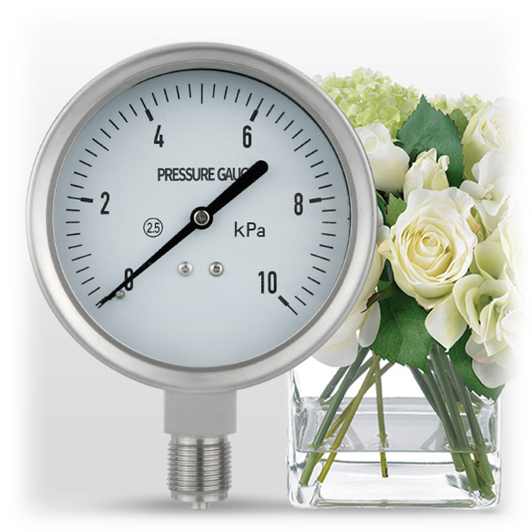 YE100BF Customized Full Stainless Case M20*1.5 Thread Manometer for Air Pressure Gauge