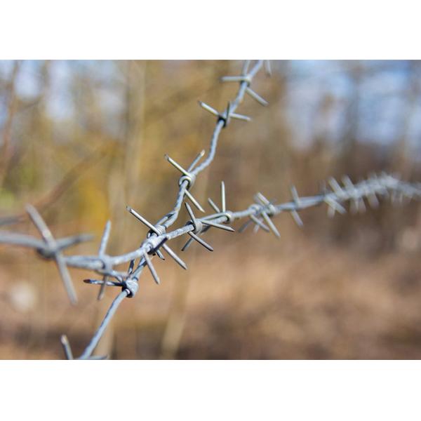 Садовый противоугонный шнур 3 или 4 дюймовый Барб Дистанция горячее погружение оцинкованная колючая проволока