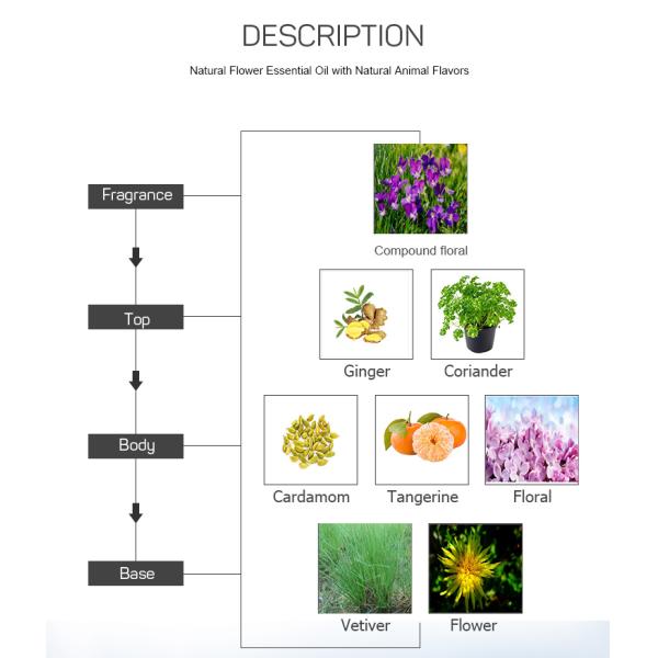 100 High Purity Plant Essential Oil Garden After The Rain Fragrance