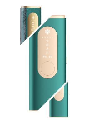 5 Gears Adjustable RF Beauty Instrument Electric Hair Remover 36W