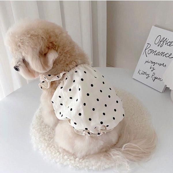 Ropa para perros ligera y transpirable, impermeable, lavable en máquina, con capucha