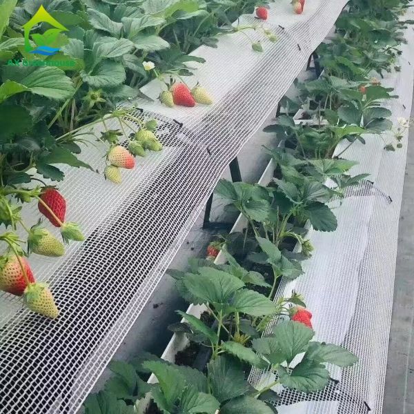 Multilayer Structure A-frame PVC Planting Troughs Greenhouse Strawberry Growing