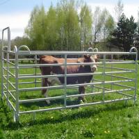 Panneau de clôture galvanisée soudée de 12 pieds
