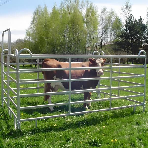 Panneaux de clôture ronds en métal galvanisé robuste de 12 pieds pour bétail, corral, clôture de ferme