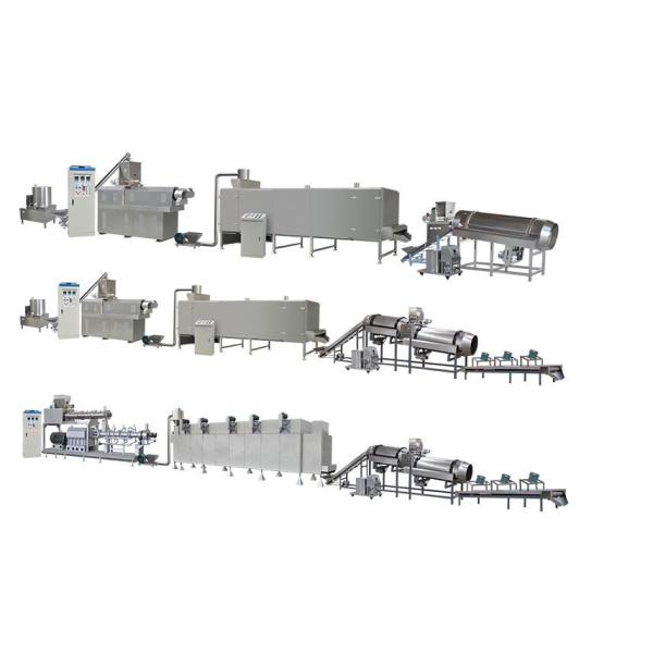 Dry Dog Fish Cat Pet Food Making Machine Twin Screw Extruder Three Phase