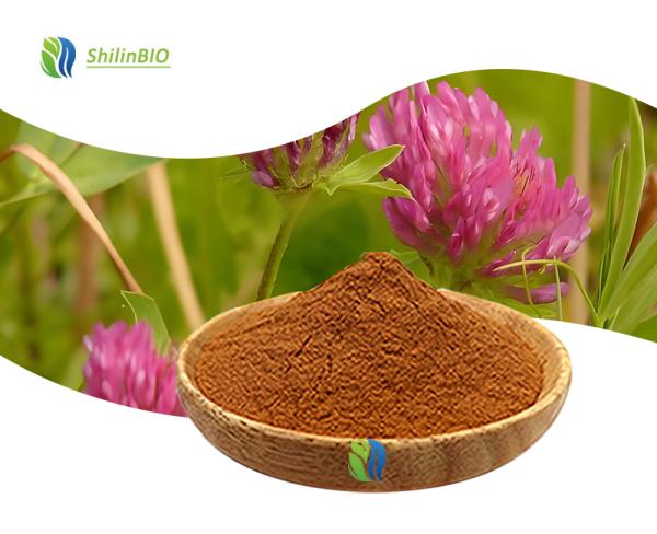 Red Clover Isoflavones