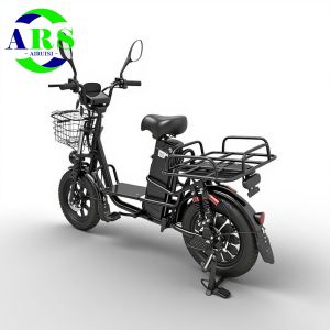 China Manufacturer Snow E-Bike 16 Inch 1000W Transport Bike Dual Suspension Electric Ice Cream Cargo Bike Yilan 2