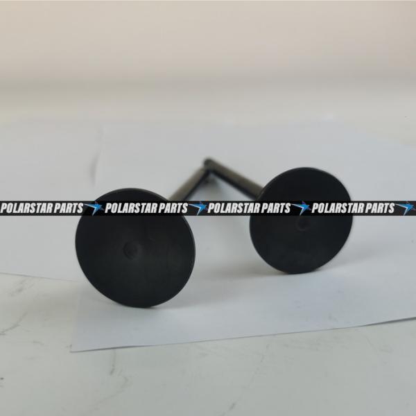 6LTAA9.3 Intake Valve Exhaust Valve 6L ISLe QSL8.9 QSL9 L9.3 3942589 3942588