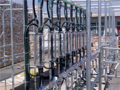 HL-G03 Middle Set Goat and Sheep Milking Parlor System with 6L Glaa Milk Meter