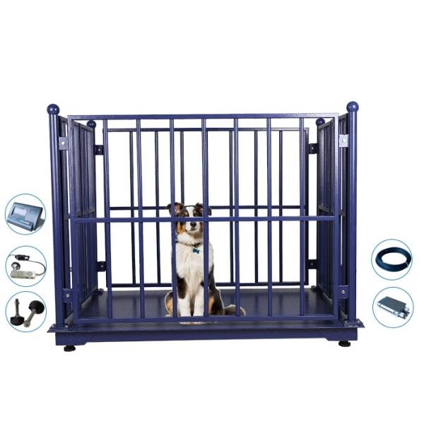 масштабы поголовья 2M веся, масштабы поголовья 5T цифров