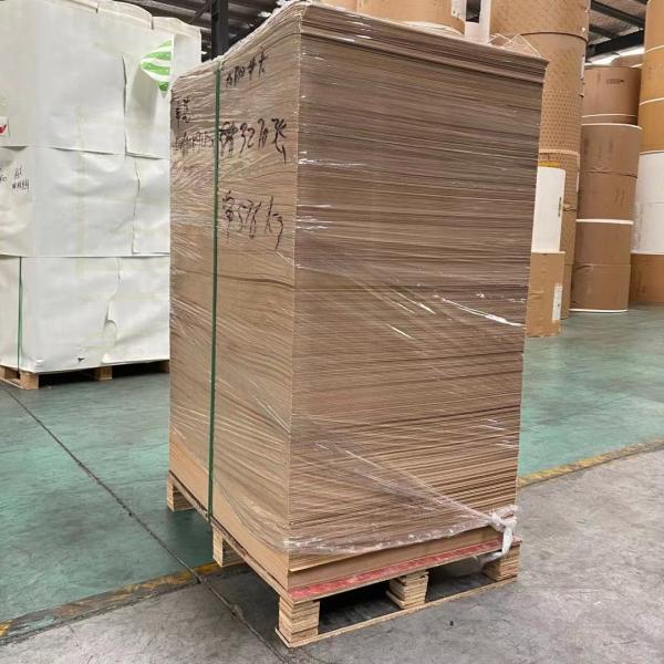 Folha de papel revestida de PE de parede única para copos de papel impermeáveis