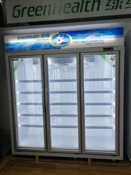 -18~-22℃ Commercial Glass Door Upright Display Freezer For Meat Seafood