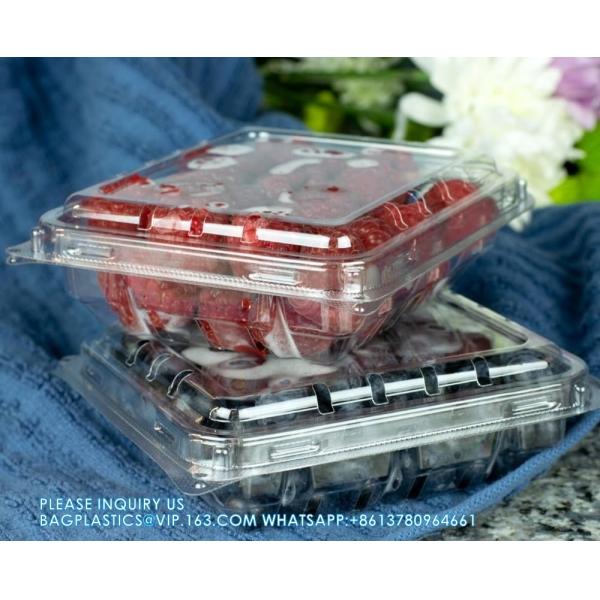 Wholesale Transparent Fresh Strawberry Packaging Container Supermarket Food Plastic Box Plastic Strawberry Packing Box