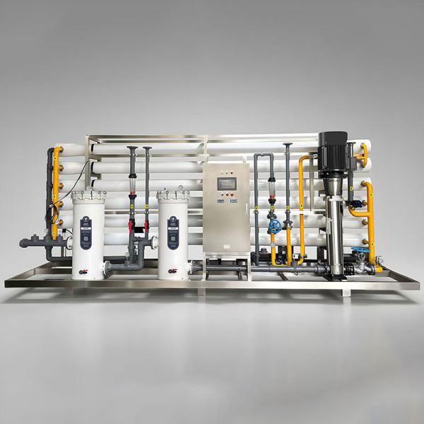 SS304 FRP EDI Ultrapure Water Equipment RO Water Purifier Machine