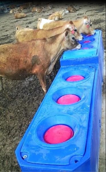 4m 6 Holes heavy duty PE Livestock Water Tank