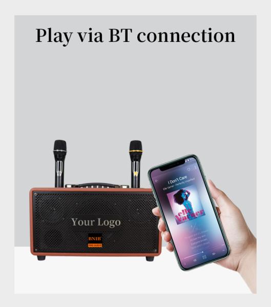 Wooden Wireless Active Portable Karaoke Speaker With Battery / AC Power Supply