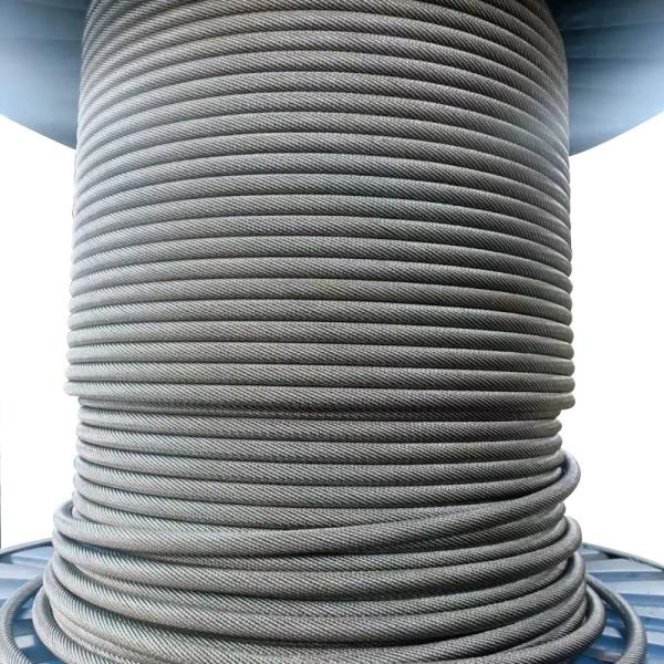 Galvanized 6X19 Seale IWRC Steel Wire Rope for Coal Crance Processing Service Other