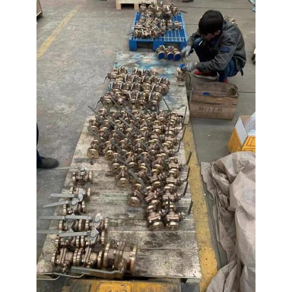 Marine Bronze Angle SDNR Valve JIS F7410