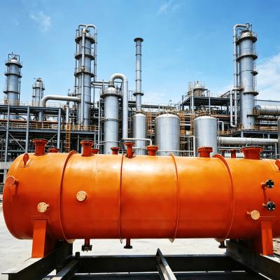 Stainless Steel Tubular Chemical Reactor with Customized Size and 0.1-10 Mpa Design Pressure for Industrial Processing