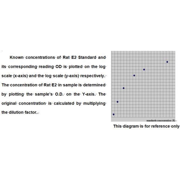 Mouse Estradiol Elisa Kit Rat E2 RUO Test Kit 48 Wells And 96 Wells