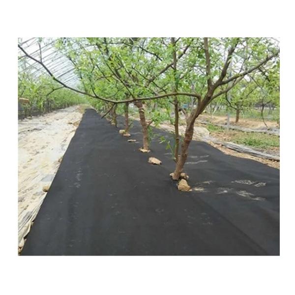 Waterproof Spunbond Nonwoven Fabric For Custom Packaging Clothing