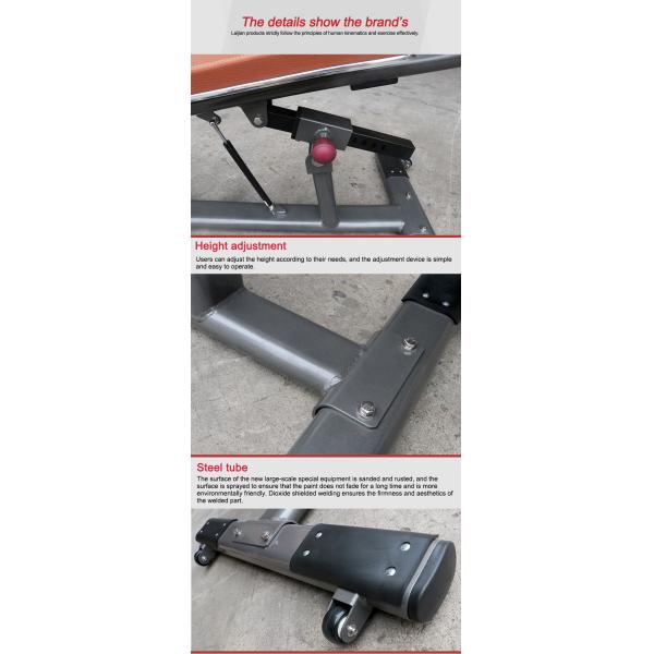 Gym Rack And Weight Bench Adjustable Abdominal Fitness Bench