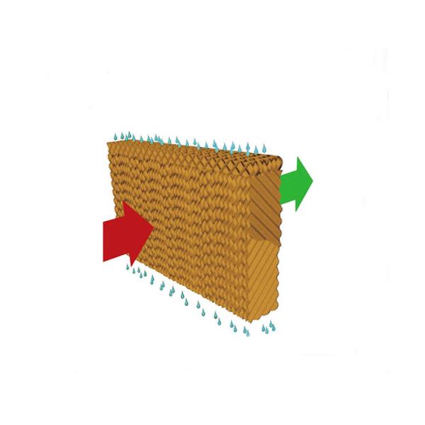 Pad Forced Ventilation Evaporative Wet Wall Greenhouse Cooling System